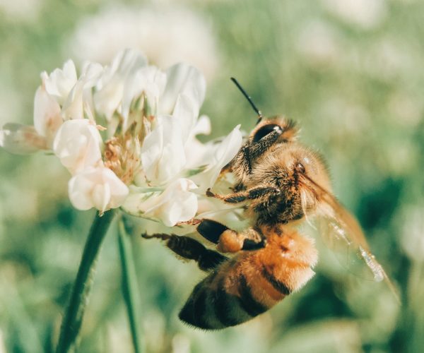 aaron-burden-2xhOYKK-jAM-unsplash
